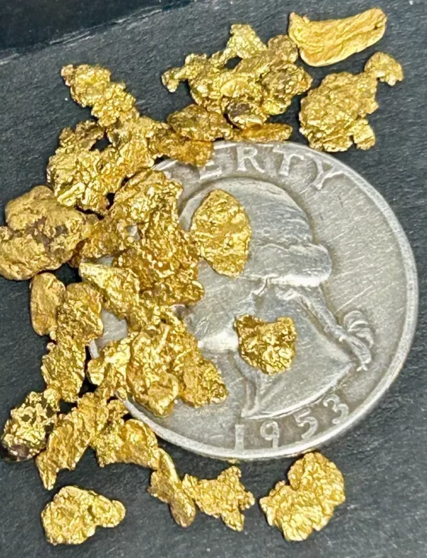 GOLD NUGGETS 6+ GRAMS Placer Alaska Natural #6 Mesh Gold Dust Creek High Purity - Image 2